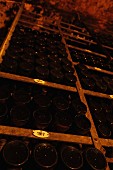 An extensive collection of wine ordered by vintage