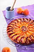 Marzipan cake with apricots and peaches