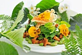 Mixed leaf salad with chanterelle mushrooms, broad beans and pansies