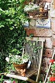 Hölzerner Gartenstuhl als Ablage für blühenden Terrakottatopf