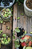 Herbststilleben mit gesammelten Eicheln und Apfelzweig