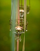 Tealight lanterns decorating garden