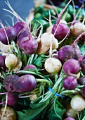 Turnips at a market