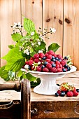 An arrangement of raspberries and blueberries in a bowl