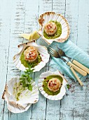 Scallops with green garlic and chilli sauce