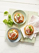 Mini unleavened bread topped with buffalo mozzarella and fennel salami