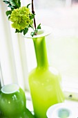 Flower in lime green glass vase