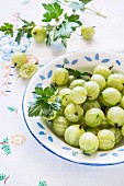 Fresh green gooseberries