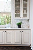 White cabinets and glass cabinet with potted plant on counter top; Irvine; California; USA