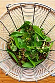 Young stinging nettles and wild garlic in a sieve