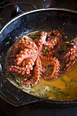 Oktopus im Kräutersud