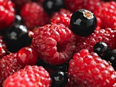 Close-up von Himbeeren, schwarzen Johannisbeeren und roten Johannisbeeren