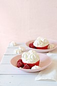 Raspberry sorbet tartlets with vanilla cream and meringue