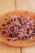 Fresh sango radish sprouts on a wooden plate