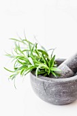 Fresh rosemary in a stone mortar with a pestle