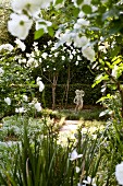 Blick durch rankende Schneewittchen Rosen (Iceberg) auf klassische Steinfigur in parkähnlichem Garten