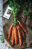 Frische Karotten mit Erde auf Sackleinen (Draufsicht)