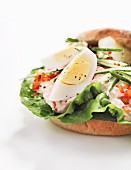 Sandwich mit Ei und Thunfischsauce