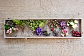 Various flowers in a box on a concrete surface