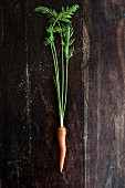 A single carrot on a wooden surface