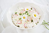 Quark with radishes and daises