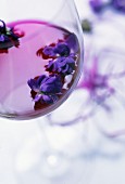 A glass of violet liqueur