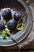 Plums with twigs and leaves on an old metal plate