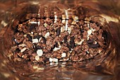 Chocolate muesli in a bag