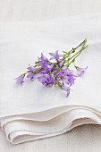 Rampion flowers on a linen cloth outside