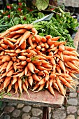 A pile of carrots at a market