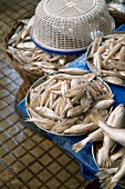 Frische Fische auf dem Markt von Margao, Goa, Indien