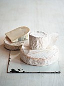 Various types of soft cheese