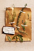 Various types of herbs on a piece of paper