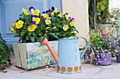 Watering can and flower pots on Balboa Island; California; USA