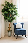 Upholstered chair with potted plant by window