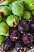 Green and blue marzipan figs