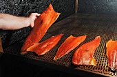Salmon being smoked