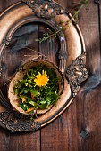 Wild herb salad served in the coconut shell on a picture frame