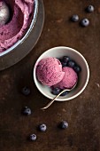 Blueberry ice cream and fresh blueberries