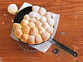 Buchteln (baked, sweet yeast dumplings) in a pan