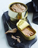 Open tins of tuna fish