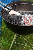 Salmon trout fillet on a barbecue
