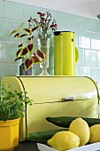 Still-life arrangement in shades of yellow against pastel green tiles; designer thermos flask on retro bread bin and herbs in yellow pot