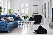 Geschwungenes Sofa mit Jeans-Bezug und Tabletttisch im Wohnzimmer; schwarzer Hund auf weißem Fliesenboden im Vordergrund