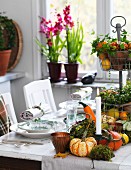 Set table with autumnal arrangement of ornamental squash, cake stand and candles