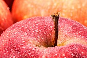 Roter Apfel mit Wassertropfen (Close Up)