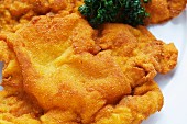 Viennese escalope with parsley (close-up)