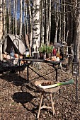 Primitive camp with vintage ambiance in autumn birch woods