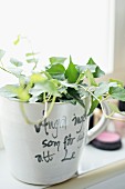 Ivy planted in coffee mug with lettering on bathroom windowsill