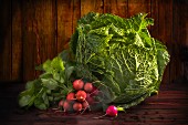 A savoy cabbage and radishes